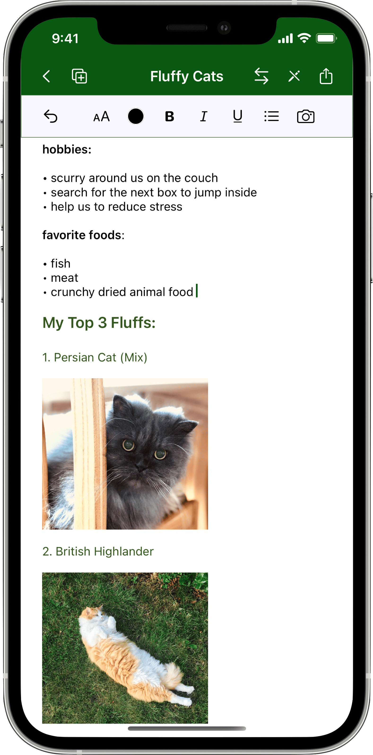 The Summuray App interface for adding pictures with fluffy cats to your summary