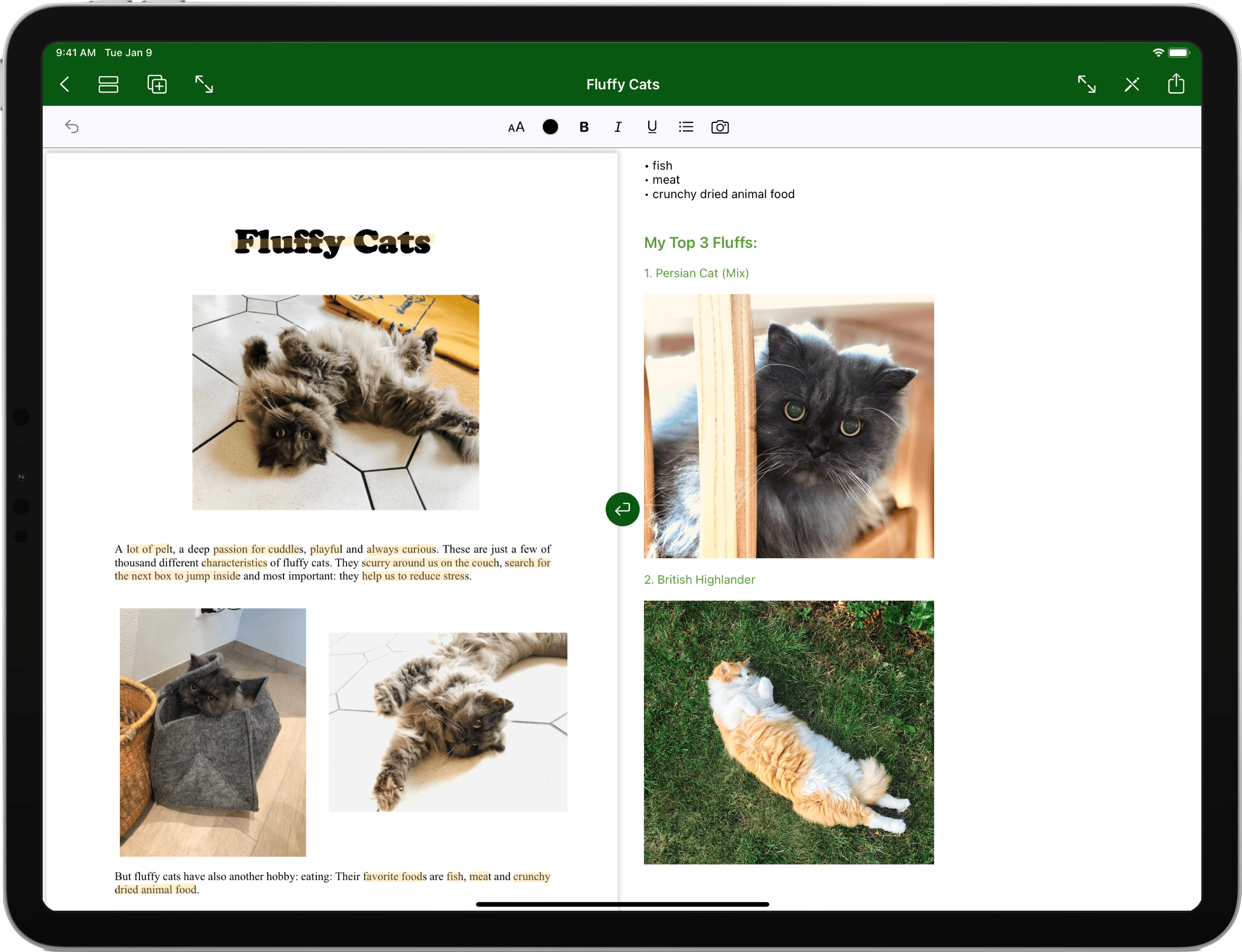 The Summuray App interface on iPad for adding pictures with fluffy cats to your summary