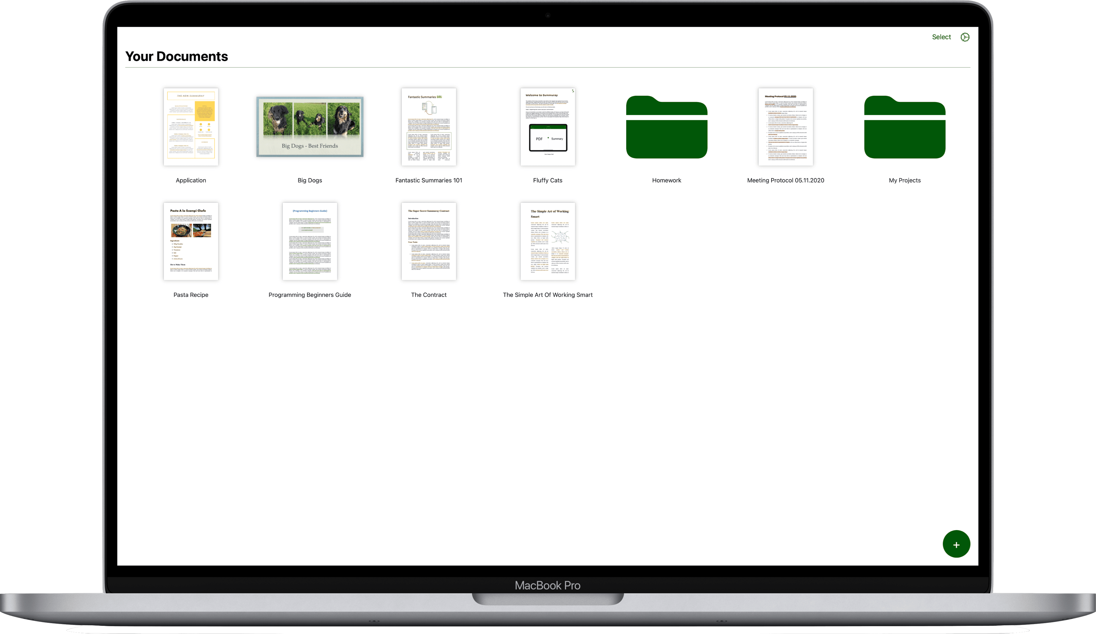 The Summuray App interface for Documents Overview on a Mac